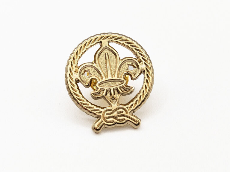 PINS_2D_METAL21